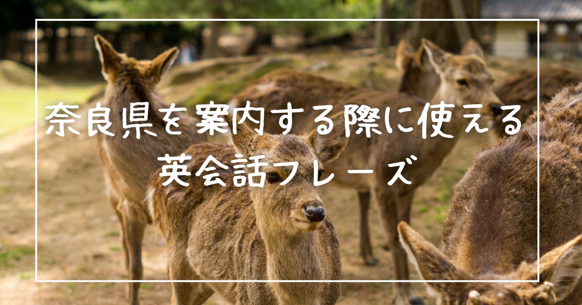 奈良県を案内する際に使える英会話フレーズ