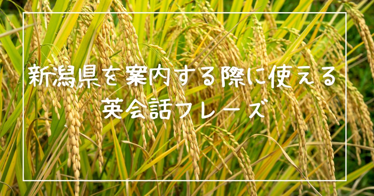 新潟県を案内する際に使える英会話フレーズ